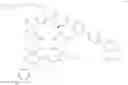Fig. 29 - Antifungal agents and uses thereof