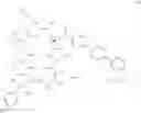 Fig. 32 - Antifungal agents and uses thereof