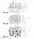 Fig. 02 - POLYURETHANE-GRAFTED HYDROGELS