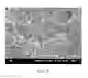 Fig. 06 - Method for manufacturing plastic dielectric having holes and plastic dielectric manufactured thereby