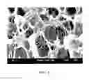 Fig. 07 - Method for manufacturing plastic dielectric having holes and plastic dielectric manufactured thereby