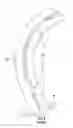 Fig. 04 - Oral airways