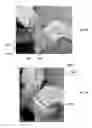 Fig. 07 - Method for obtaining sterile human amniotic fluid and uses thereof