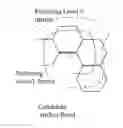 Fig. 01 - Method for aligning molecules in three dimensions based upon their correspondence to an exemplary template molecule for use in performing 3D QSAR analyses