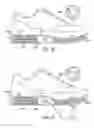 Fig. 13 - Adjustable bladder system for an article of footwear