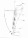 Fig. 05 - Dispensing Bag with Longitudinal Split