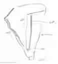 Fig. 07 - Dispensing Bag with Longitudinal Split