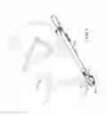 Fig. 02 - Anchor on a load carrier for a bicycle through-axle