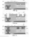 Fig. 06 - Interconnect structures for embedded bridge