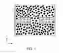 Fig. 02 - CHIP ELECTRONIC COMPONENT AND MANUFACTURING METHOD THEREOF