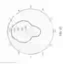 Fig. 08 - Power divider and radio-frequency device