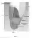 Fig. 08 - METHODS AND APPARATUS FOR IMPLEMENTING DUAL TIP FUNCTIONALITY IN A STYLUS DEVICE
