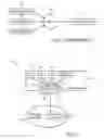Fig. 02 - Congestion control enforcement in a virtualized environment