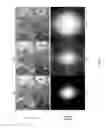 Fig. 06 - Training classifiers for deblurring images