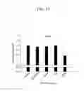 Fig. 16 - Bispecific chimeric proteins comprising DARPins