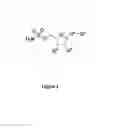 Fig. 02 - E1 ENZYME MUTANTS AND USES THEREOF