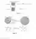 Fig. 02 - Glucose-responsive microgels for closed loop insulin delivery