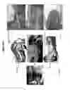Fig. 45 - SMOOTH MUSCLE CELL CONSTRUCTS