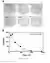 Fig. 02 - Antimicrobial compositions and methods