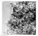 Fig. 01 - Process for preparing an optically clear superhydrophobic coating solution