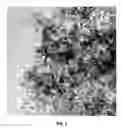 Fig. 03 - Process for preparing an optically clear superhydrophobic coating solution