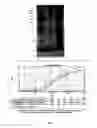 Fig. 08 - DEVELOPMENT OF SPECIFIC IMMUNOASSAY CRITICAL REAGENTS FOR PHARMACOKINETIC ASSESSMENTS OF PEPTIDE POLYMERS IN PRECLINICAL AND CLINICAL MATRICES