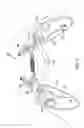 Fig. 02 - Dual pivot game controller