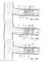 Fig. 08 - DEVICES AND METHODS FOR TREATING CHRONIC TOTAL OCCLUSION