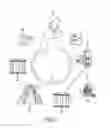 Fig. 02 - MERCHANT DATA CLEANSING IN CLEARING RECORD BASED ON TARGETED MERCHANTS
