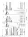 Fig. 12 - Method and system for pacing, acking, timing, and handicapping (path) for simultaneous receipt of documents