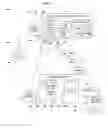 Fig. 06 - Object caching for mobile data communication with mobility management