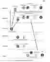 Fig. 04 - Organizing network performance metrics into historical anomaly dependency data