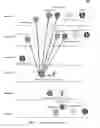 Fig. 06 - Organizing network performance metrics into historical anomaly dependency data