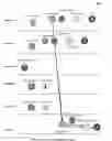 Fig. 07 - Organizing network performance metrics into historical anomaly dependency data