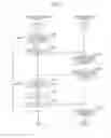 Fig. 07 - Information processing apparatus with license information management