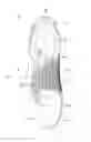 Fig. 01 - Article of footwear with a ball contacting surface