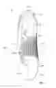Fig. 02 - Article of footwear with a ball contacting surface
