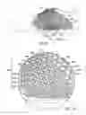 Fig. 08 - Article of footwear with a ball contacting surface
