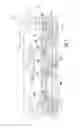 Fig. 02 - DECORATIVE MOLDING WITH MULTIPLE RELIEF INSERT