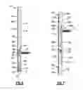 Fig. 08 - Wall system