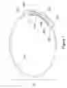 Fig. 02 - Self-adjustable jewelry clasp