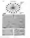 Fig. 02 - Microfluidic platform and methods for using the same