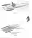 Fig. 05 - Multipurpose Stabilized Water Board for Recreational Use