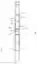 Fig. 03 - Clutch apparatus and method for resisting torque