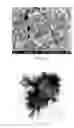 Fig. 02 - METHOD OF FABRICATING A COMPOSITE MEMBRANE CONTAINING A METAL ION ADSORBENT