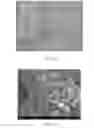 Fig. 06 - METHOD OF FABRICATING A COMPOSITE MEMBRANE CONTAINING A METAL ION ADSORBENT