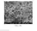 Fig. 07 - METHOD OF FABRICATING A COMPOSITE MEMBRANE CONTAINING A METAL ION ADSORBENT