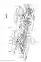 Fig. 02 - Scissor-type lift assembly