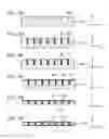 Fig. 09 - Semiconductor light emitting element and light emitting device