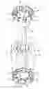 Fig. 01 - Stator insulator structure with reduced residual stress and improved durability
